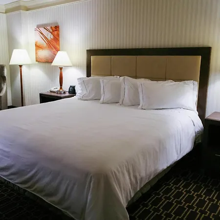 Hilton Jackson-2
